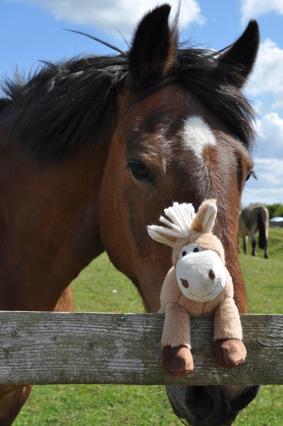 Sitting Pony Soft Toy