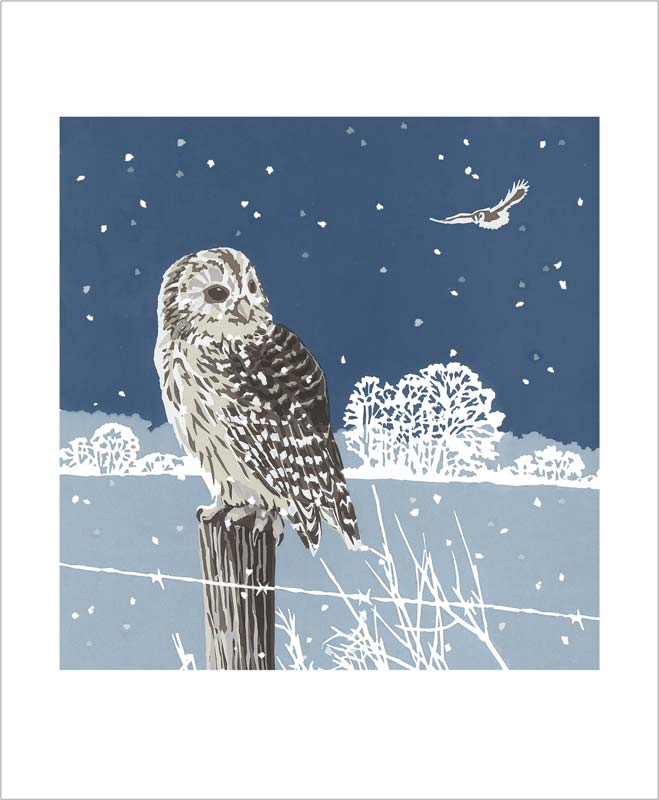 Winter Tawnies Greeting Card - Lizzie Perkins