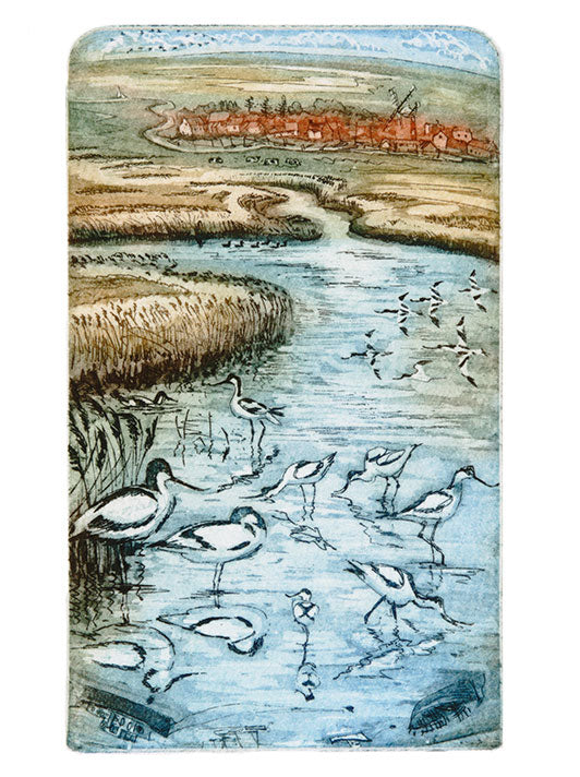 Avocets Greeting Card - Glynn Thomas