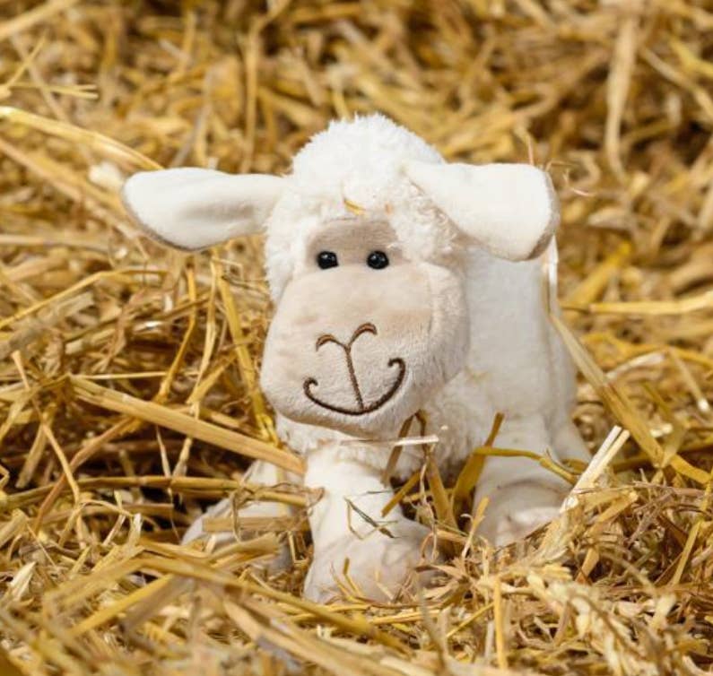 Sheep Small White Soft Toy Plush