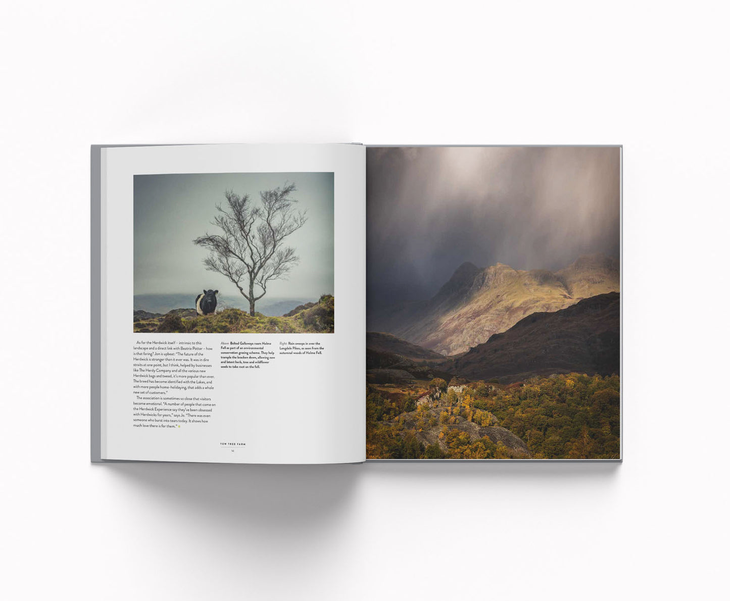 Forty Farms: Conversations About Change in the Landscapes of Cumbria - Amy Bateman