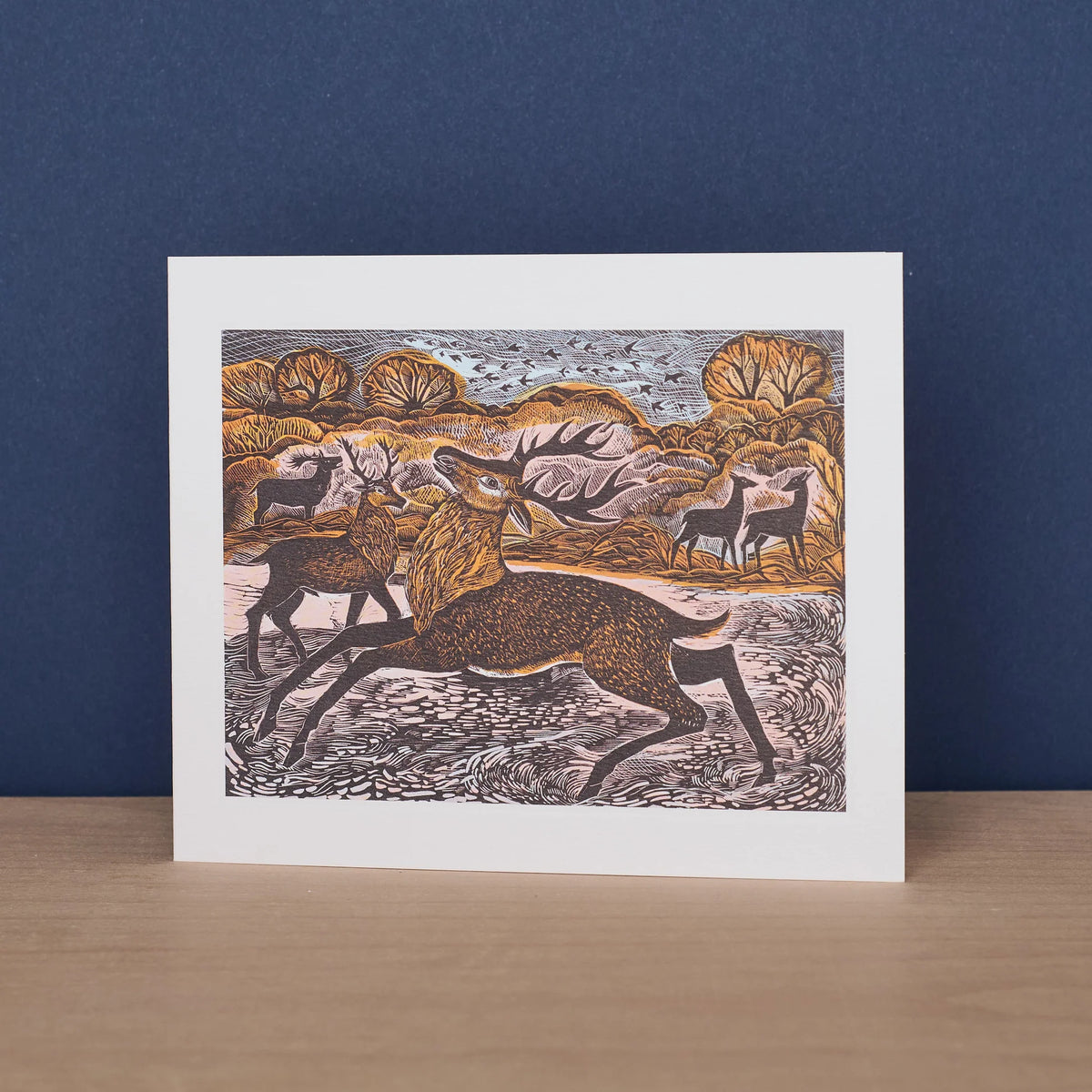 Red Knepp Deer Greetings Card - Angela Harding