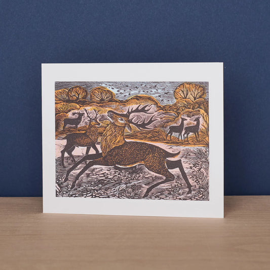 Red Knepp Deer Greetings Card - Angela Harding