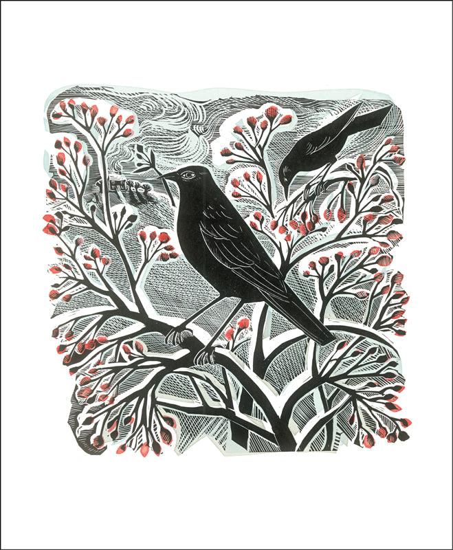 Blackbird and Berries Greeting Card - Angela Harding