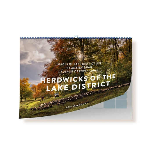 Amy Bateman: Herdwicks of the Lake District 2025 Calendar