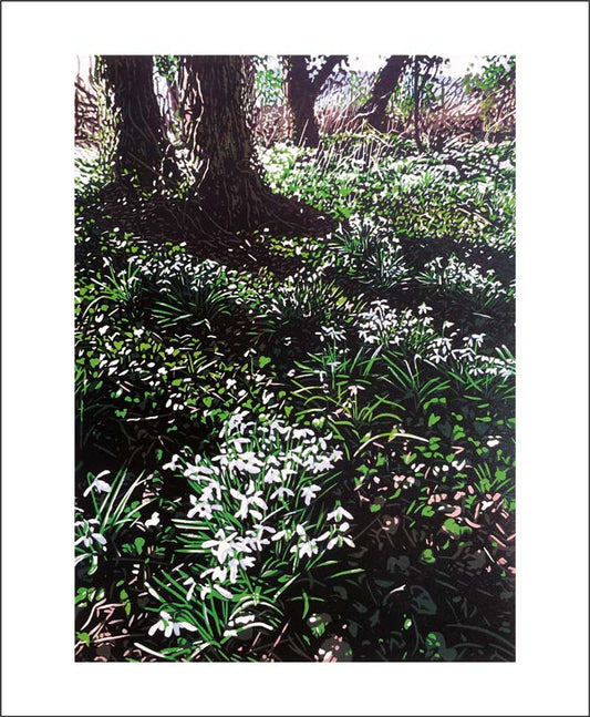 Snowdrops and Ivy Greeting Card - Joshua Miles