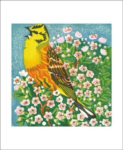 May Blossom Greeting Card - Matt Underwood