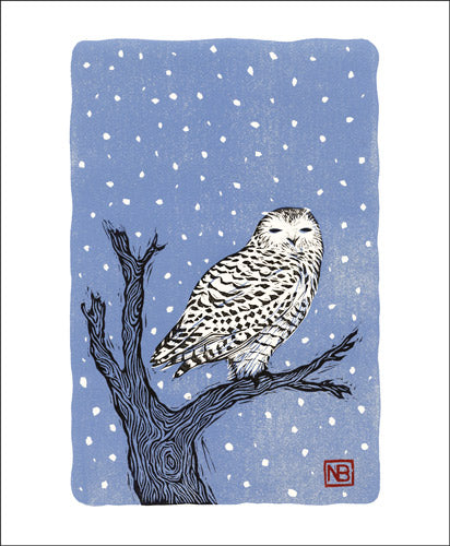 Snowy Owl Greeting Card - Neil Brigham