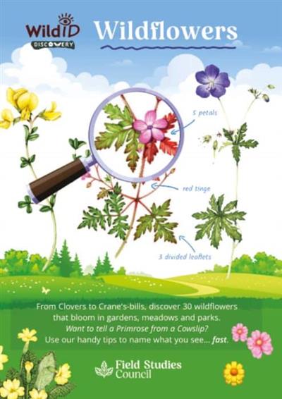 Wildflowers Guide - Farley-Brown and Harper