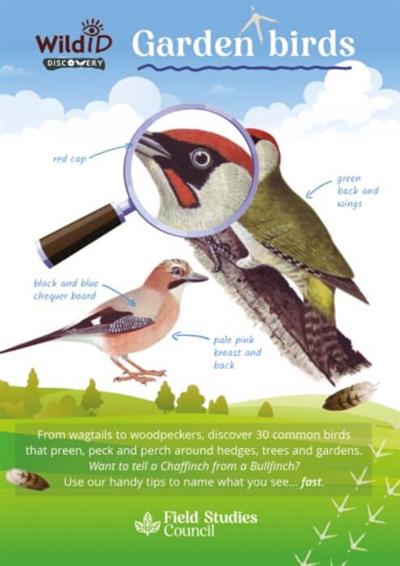Garden Birds Guide - Farley-Brown and Shields