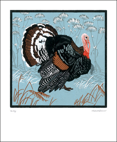 Turkey Greeting Card - Robert Gillmor