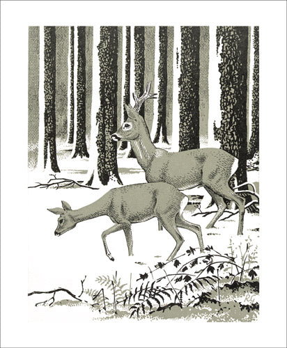 Roe Deer in Winter Greeting Card - Robert Gillmor