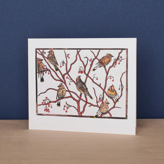 Waxwings Greetings Card - Nick Wroblewski