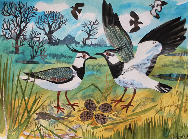 Lapwings Nest Greeting Card - Mark Hearld