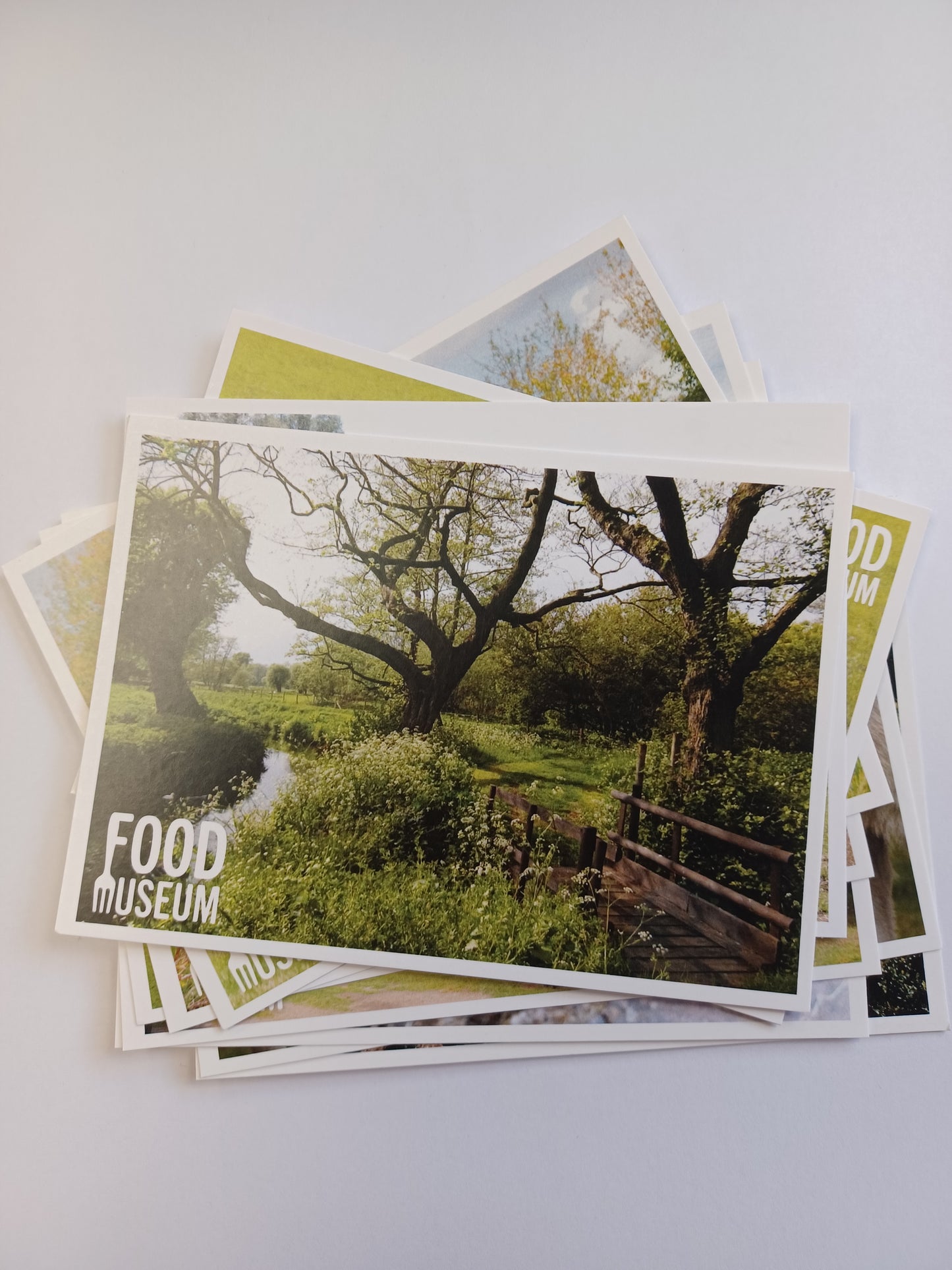 Assorted Food Museum Postcard