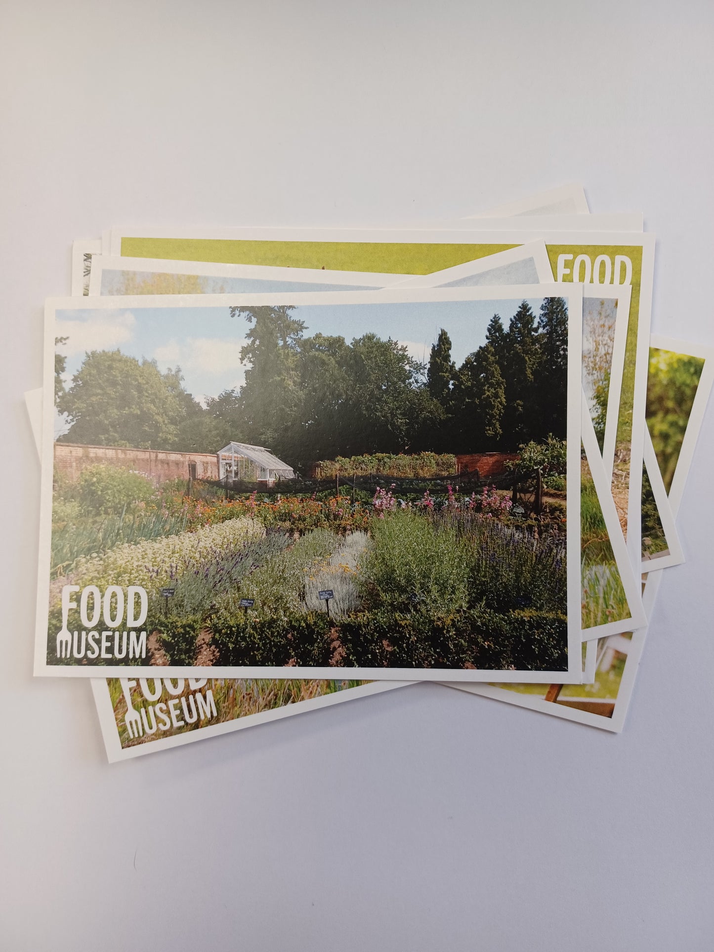 Assorted Food Museum Postcard