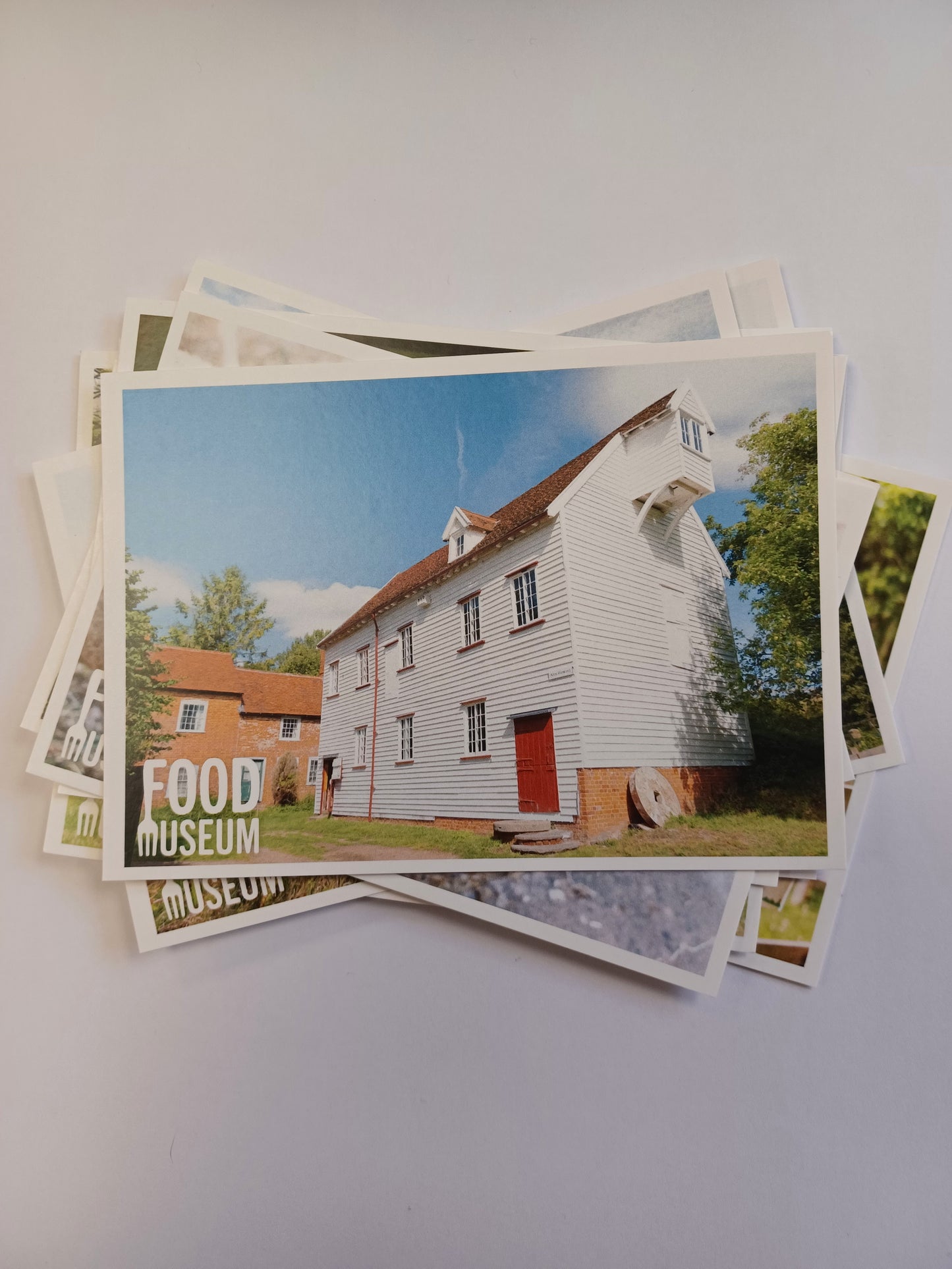 Assorted Food Museum Postcard